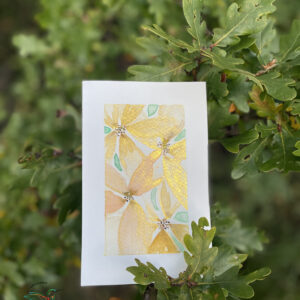 Cartes postales - thème fleurs